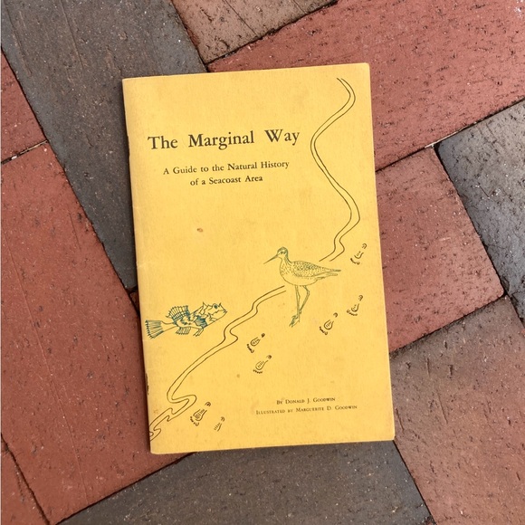 1971 Marginal Way Guide To Natural History Of Seacoast Area Maine New England - Picture 1 of 12